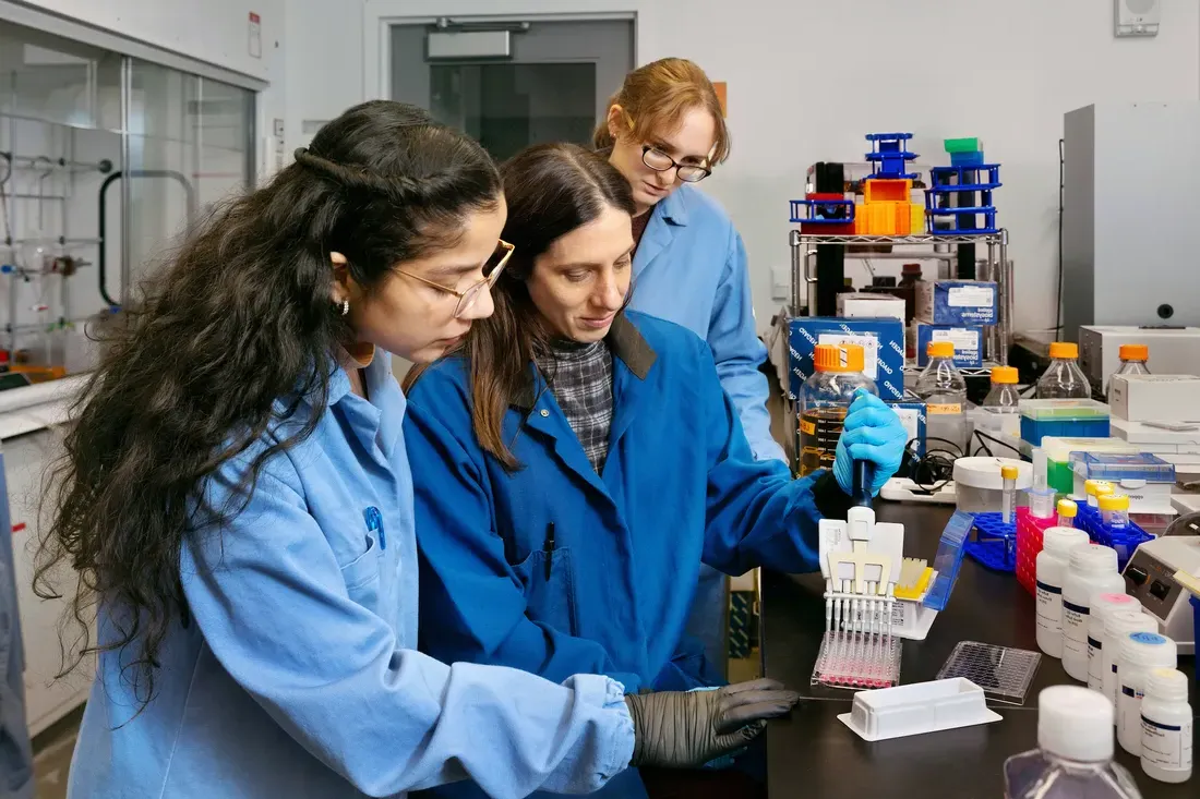 Students working in science laboratory.